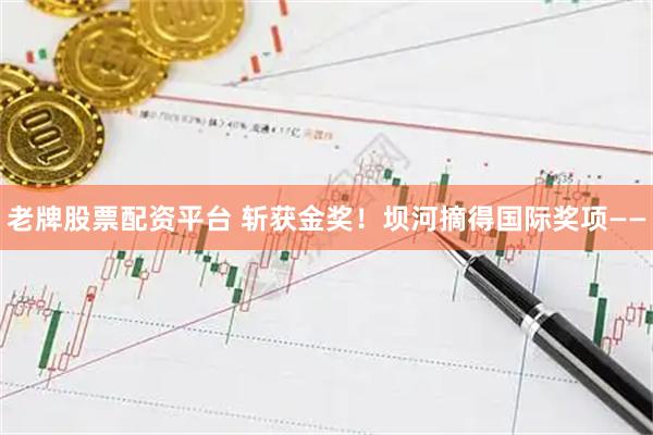老牌股票配资平台 斩获金奖！坝河摘得国际奖项——