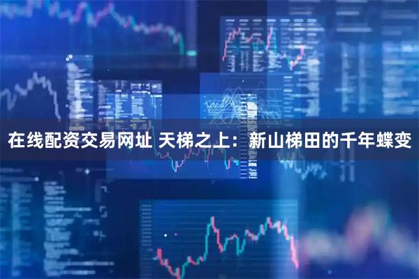 在线配资交易网址 天梯之上：新山梯田的千年蝶变