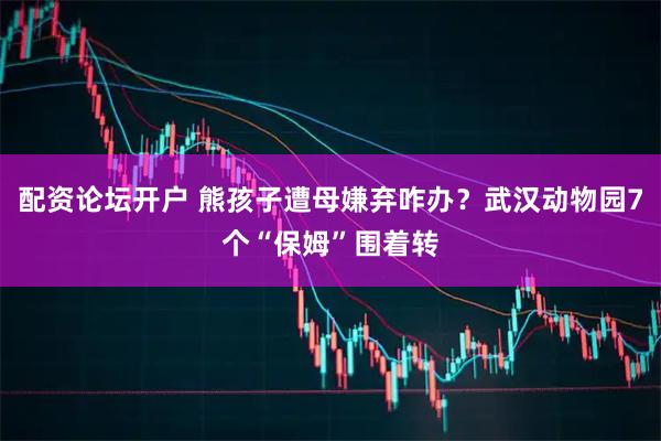 配资论坛开户 熊孩子遭母嫌弃咋办？武汉动物园7个“保姆”围着转