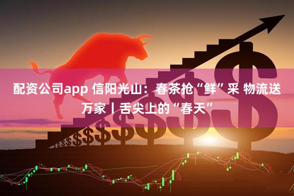 配资公司app 信阳光山:春茶抢“鲜”采 物流送万家丨舌尖上的“春天”